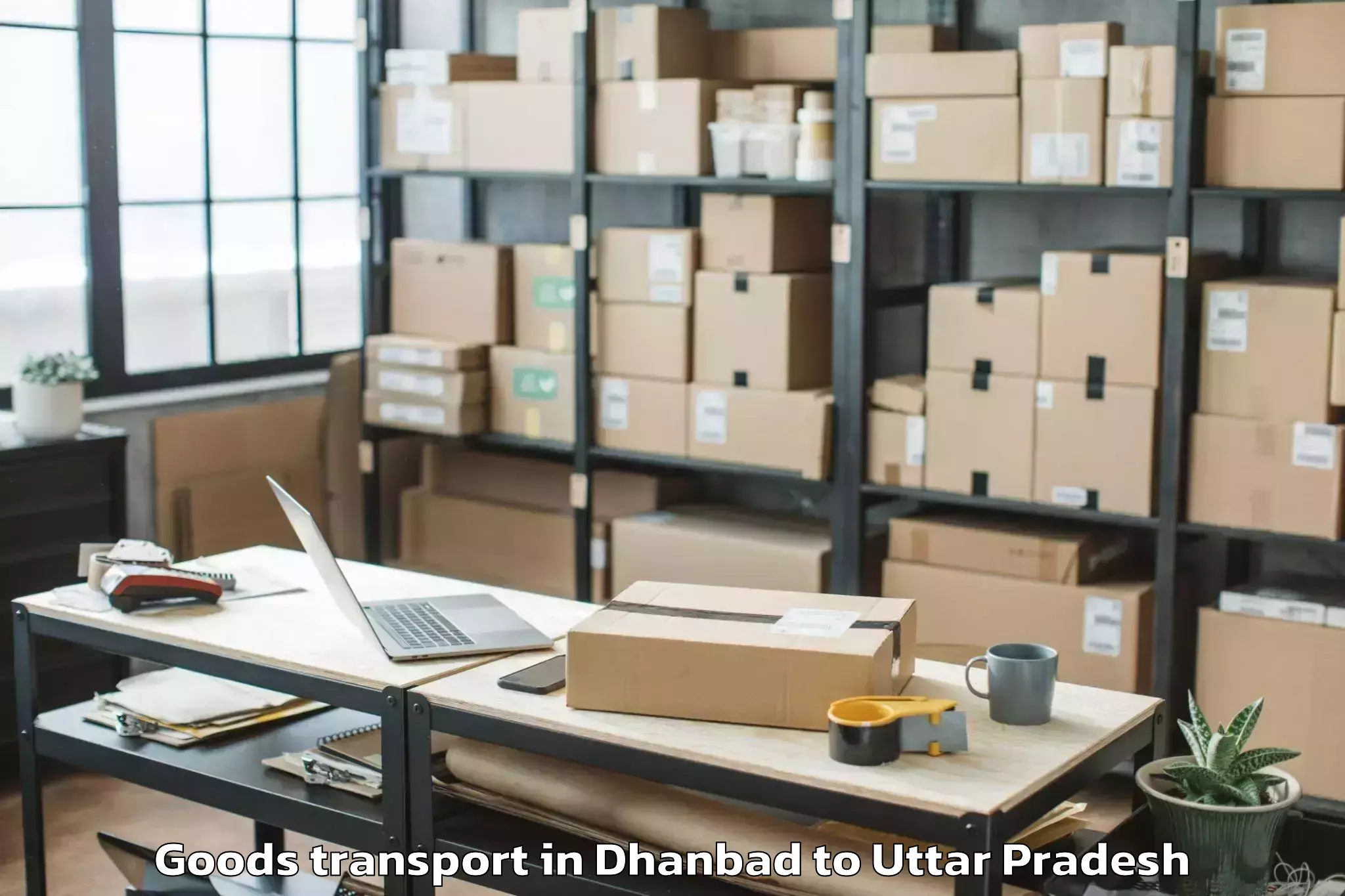 Book Dhanbad to Pilibhit Goods Transport